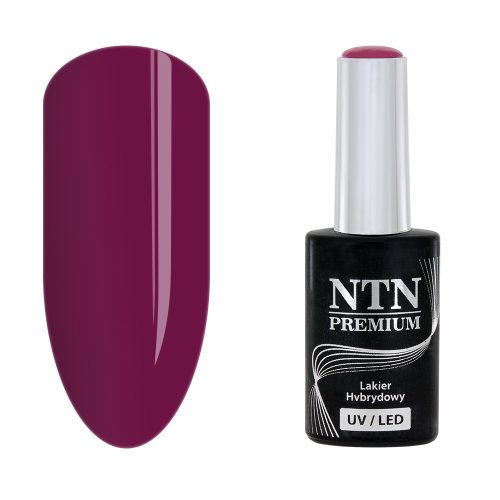 NTN Premium UV/LED 104#