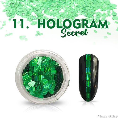 Hologram Secret 11