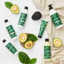 Barwa avokádós regeneráló sampon száraz, töredezett hajra