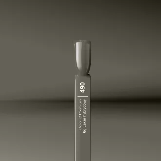 Silcare Color It! Premium 490#