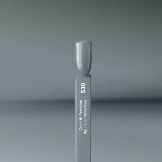 Silcare Color It! Premium 530#
