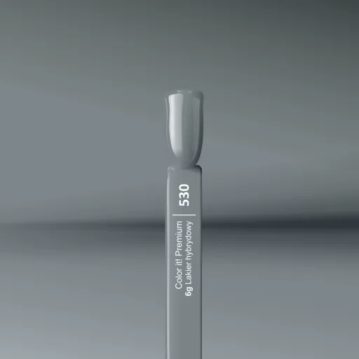 Silcare Color It! Premium 530#