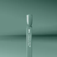 Silcare Color It! Premium 540#