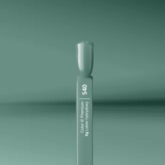 Silcare Color It! Premium 540#