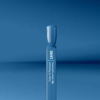 Silcare Color It! Premium 1690#