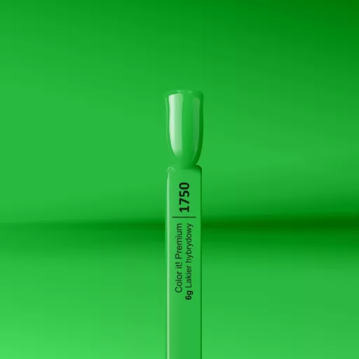Silcare Color It! Premium 1750#