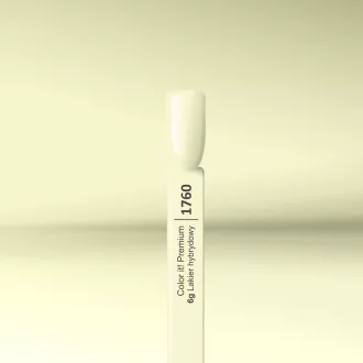 Silcare Color It! Premium 1760#