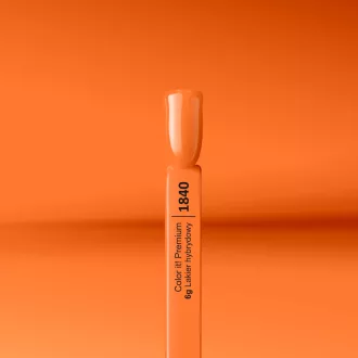 Silcare Color It! Premium 1840#