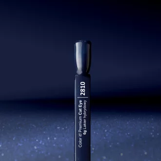 Silcare Color It! Premium Cat Eye 2810#