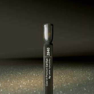 Silcare Color It! Premium Cat Eye 2840#