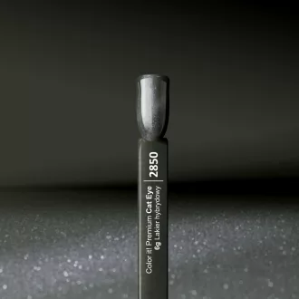Silcare Color It! Premium Cat Eye 2850#
