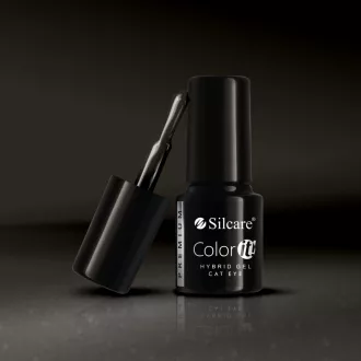 Silcare Color It! Premium Cat Eye 2860#