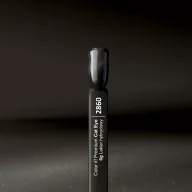 Silcare Color It! Premium Cat Eye 2860#