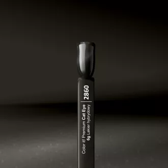 Silcare Color It! Premium Cat Eye 2860#