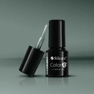 Silcare Color It! Premium 2890#