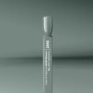 Silcare Color It! Premium 2890#
