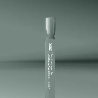 Silcare Color It! Premium 2890#