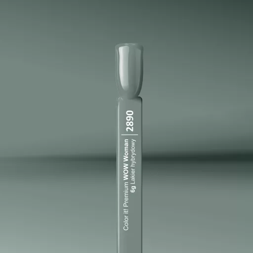 Silcare Color It! Premium 2890#