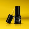 Silcare Color It! Premium 2900#