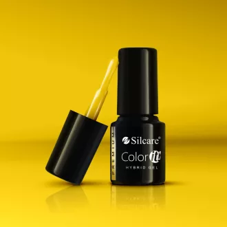 Silcare Color It! Premium 2900#