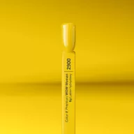 Silcare Color It! Premium 2900#