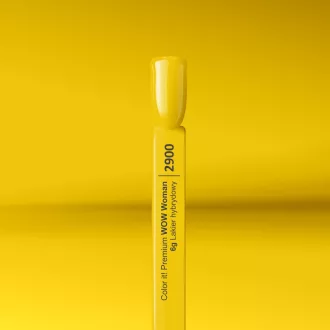 Silcare Color It! Premium 2900#