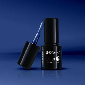 Silcare Color It! Premium 2960#