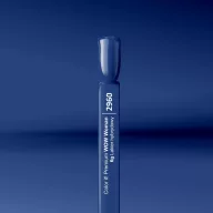 Silcare Color It! Premium 2960#
