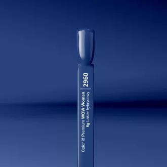 Silcare Color It! Premium 2960#