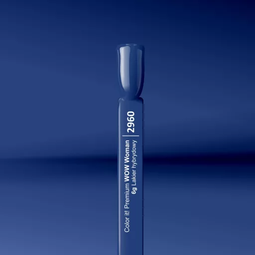 Silcare Color It! Premium 2960#