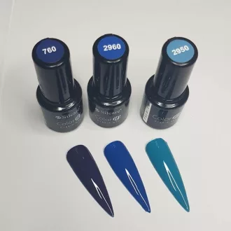 Silcare Color It! Premium 2960#
