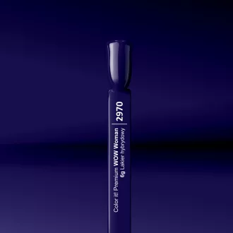 Silcare Color It! Premium 2970#