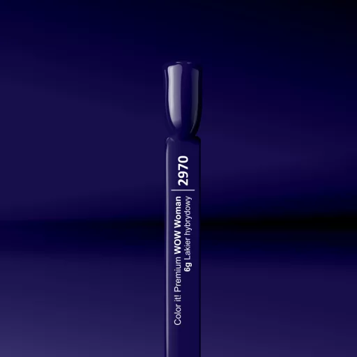 Silcare Color It! Premium 2970#