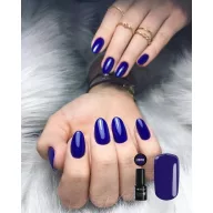 Silcare Color It! Premium 2970#