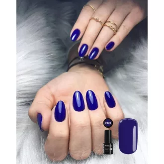 Silcare Color It! Premium 2970#