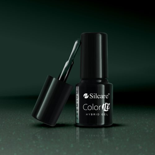 Silcare Color It! Premium 3090#