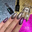 NTN Premium UV/LED 166#