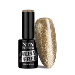NTN Premium UV/LED 167# (HEMA Free)