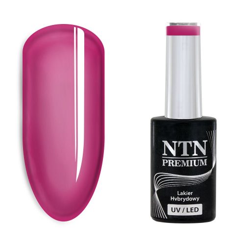 NTN Premium UV/LED 171#