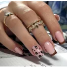 Excellent PRO egyfázisú tixotróp építőzselé Pudding 50g természetes cover árnyalatban