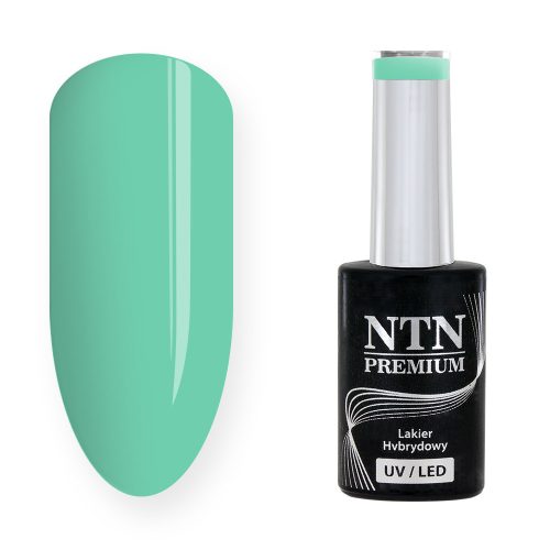 NTN Premium UV/LED 178#