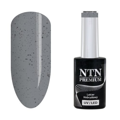 NTN Premium UV/LED 197#