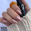 NTN Premium UV/LED 199#