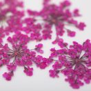 Szárított Virág Peach Pink 04 körömdíszítéshez