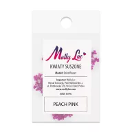 Szárított Virág Peach Pink 04 körömdíszítéshez