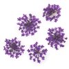Szárított Virág - Purple
