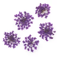 Szárított Virág Purple 05 lila körömdíszítéshez