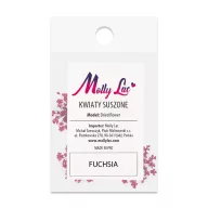 Szárított virág Fuchsia 01 körömdíszítéshez