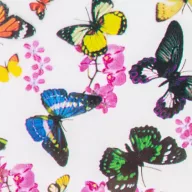 Transzferfólia pillangós Nr.10