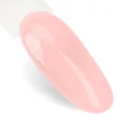 NTN Premium UV/LED Géllakk 309# barackos nude HEMA Free